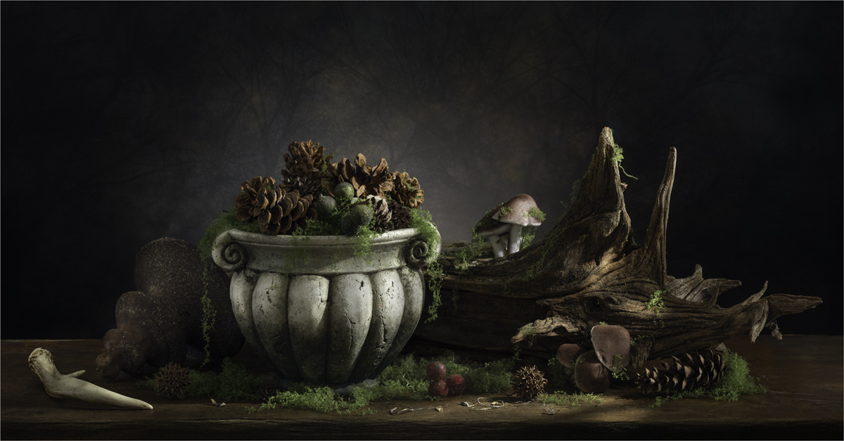 Kicks Jane Still life with Mushrooms AssignedSubject   Still Life 20260325